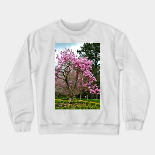 Magnolia Tree Batsford Arboretum Cotswolds UK Crewneck Sweatshirt